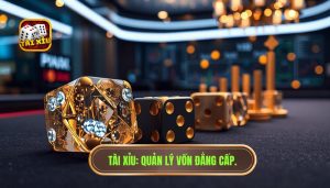 Cách chia vốn khi chơi tài xỉu hiệu quả để luôn thắng | TÀI XỈU