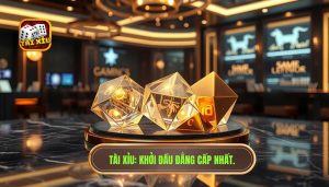 Người mới nên bắt đầu như thế nào? Cẩm nang từ A-Z cho người mới